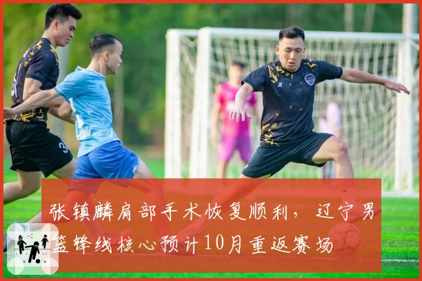 张镇麟肩部手术恢复顺利,辽宁男篮锋线核心预计10月重返赛场