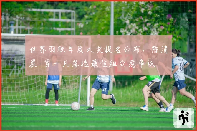 世界羽联年度大奖提名公布，陈清晨_贾一凡落选最佳组合惹争议