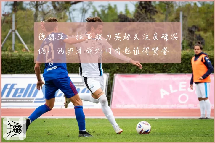 德赫亚:拉亚效力英超关注度确实低,西班牙海外门将也值得赞誉